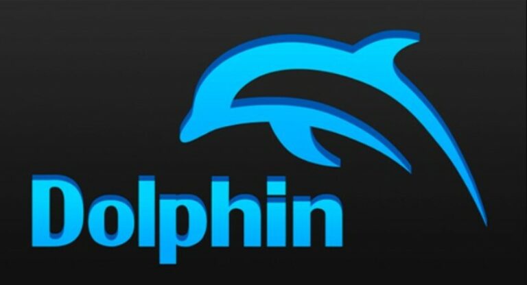 Как импортировать сохранения Wii в Dolphin?  Полное руководство