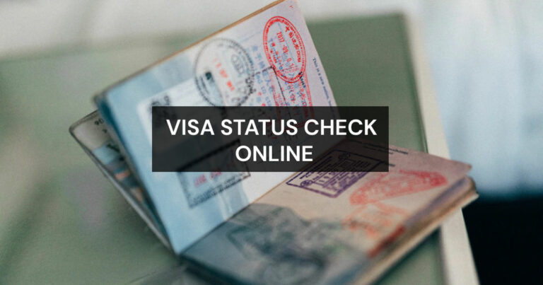 Статус визы: как проверить статус заявки на визу онлайн, используя номер паспорта