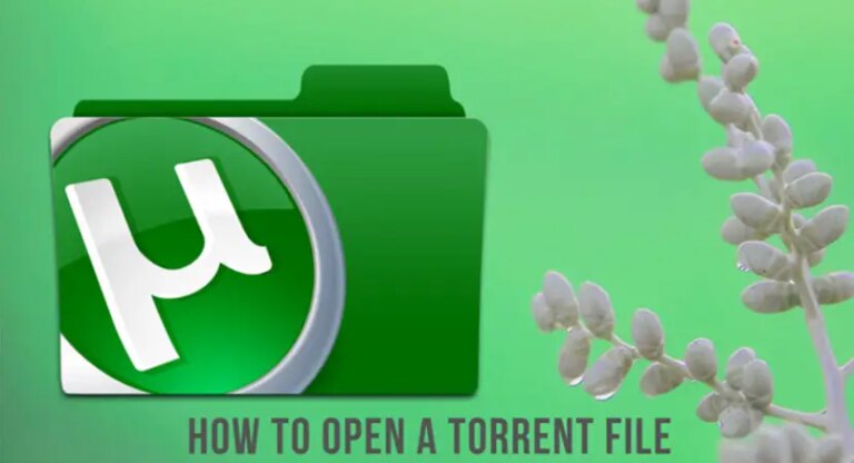 Как увеличить скорость загрузки в Utorrent?  Полное руководство